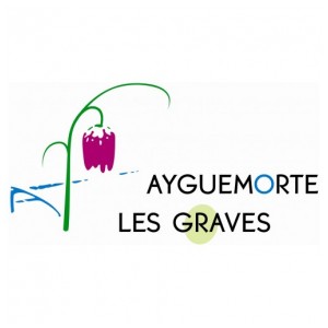 新闻 - Ayguemorte 的 1000 欧元比赛：2024 年 9 月 20 日 - 来自 Ayguemorte-les-Graves 市政厅的 illiwap 新闻